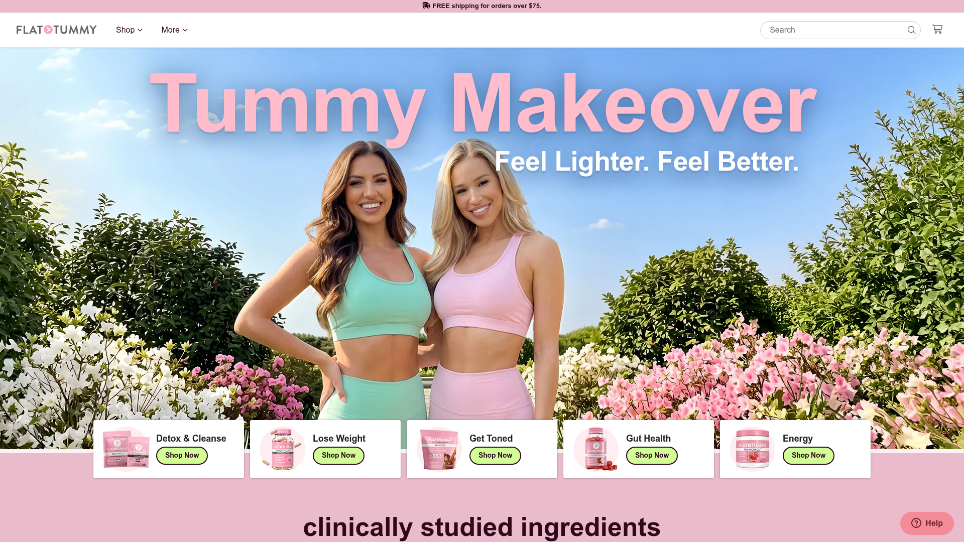4. Flat Tummy Co Homepage