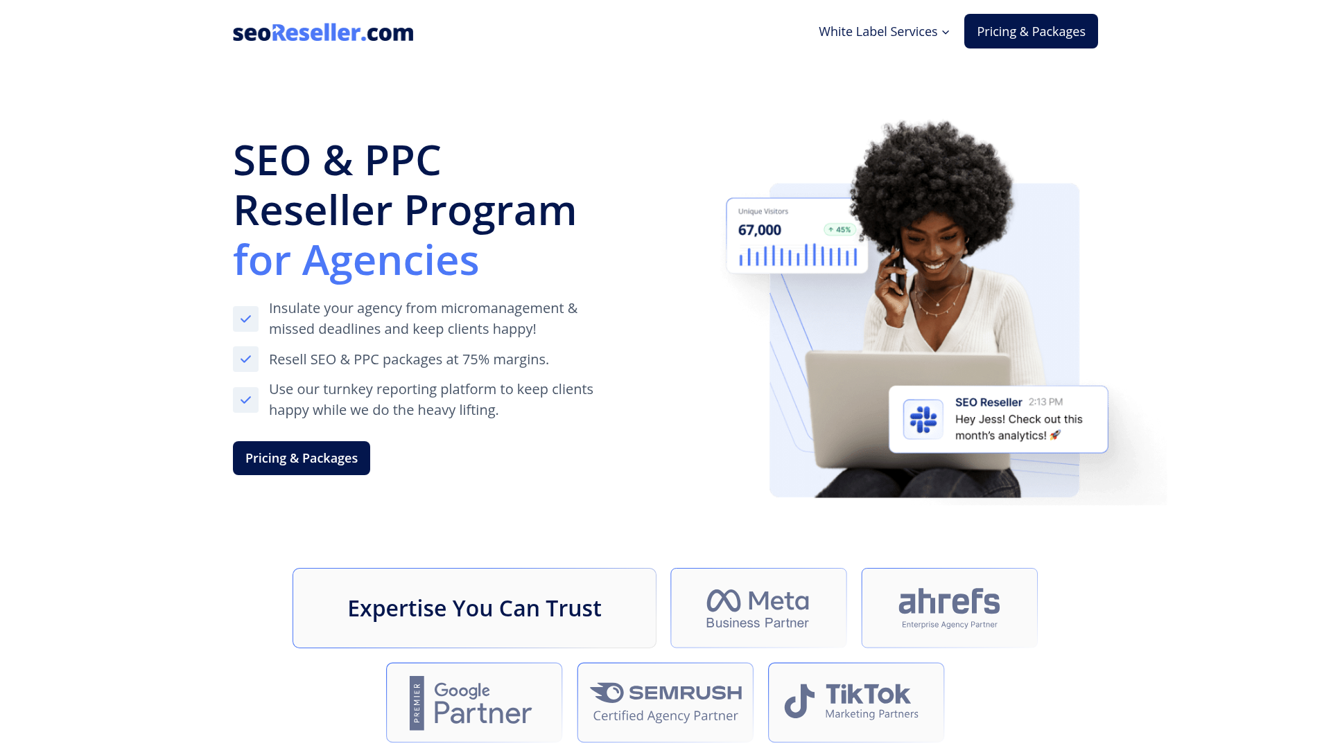 3. SEOReseller Homepage