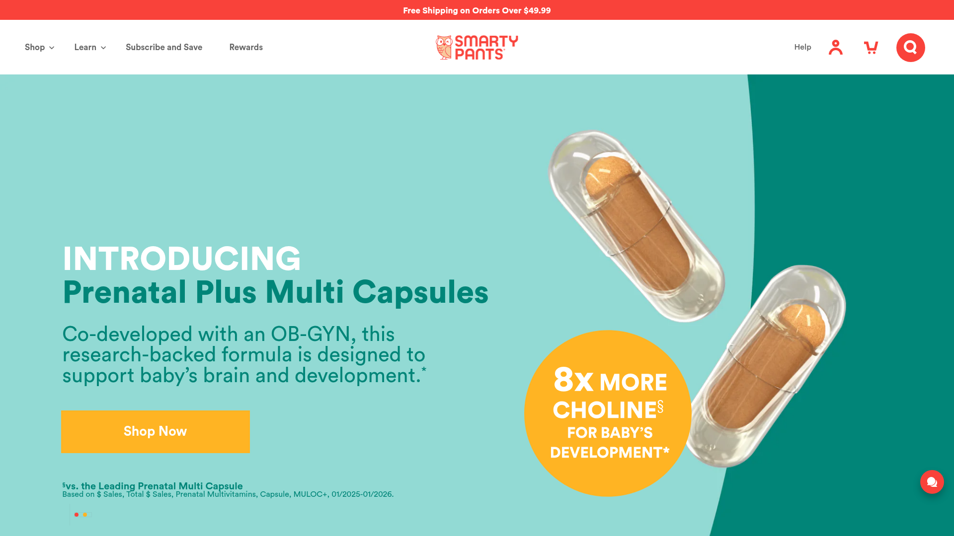 3. SmartyPants Vitamins Homepage