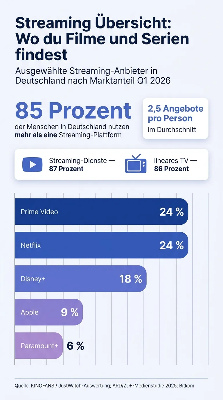 Infografik zur Marktverteilung und Anbieter-Stärken beim Streaming in Deutschland