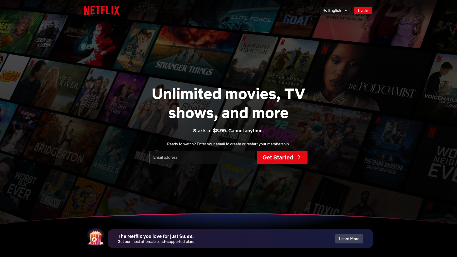 Netflix Homepage