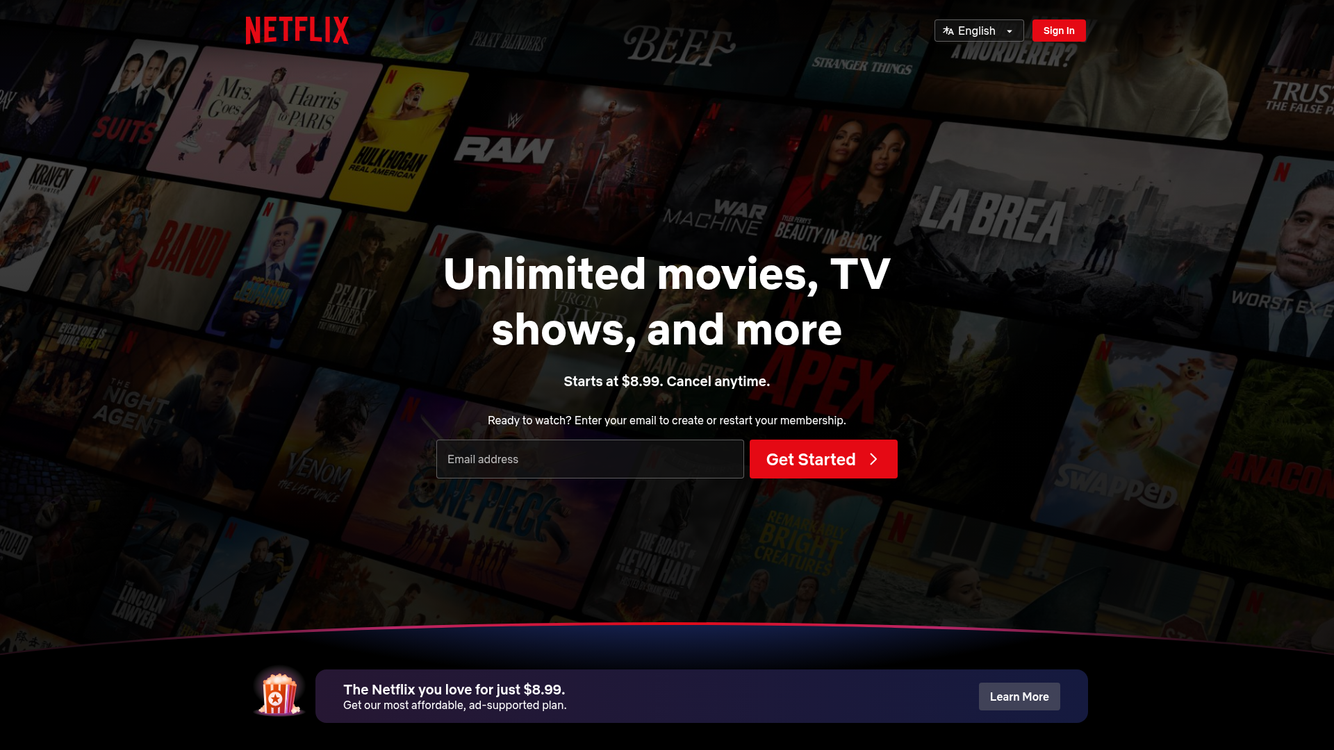 2. Netflix Homepage