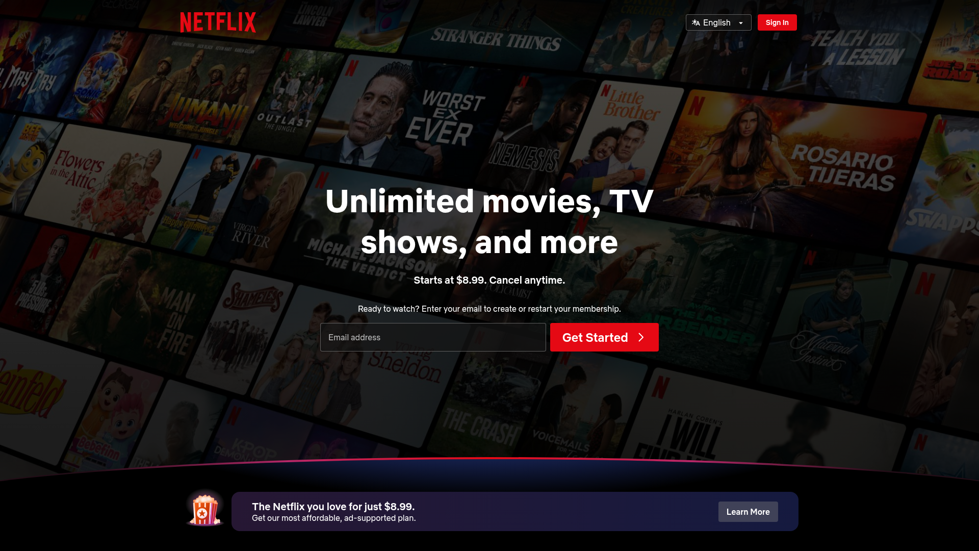 2. Netflix Homepage