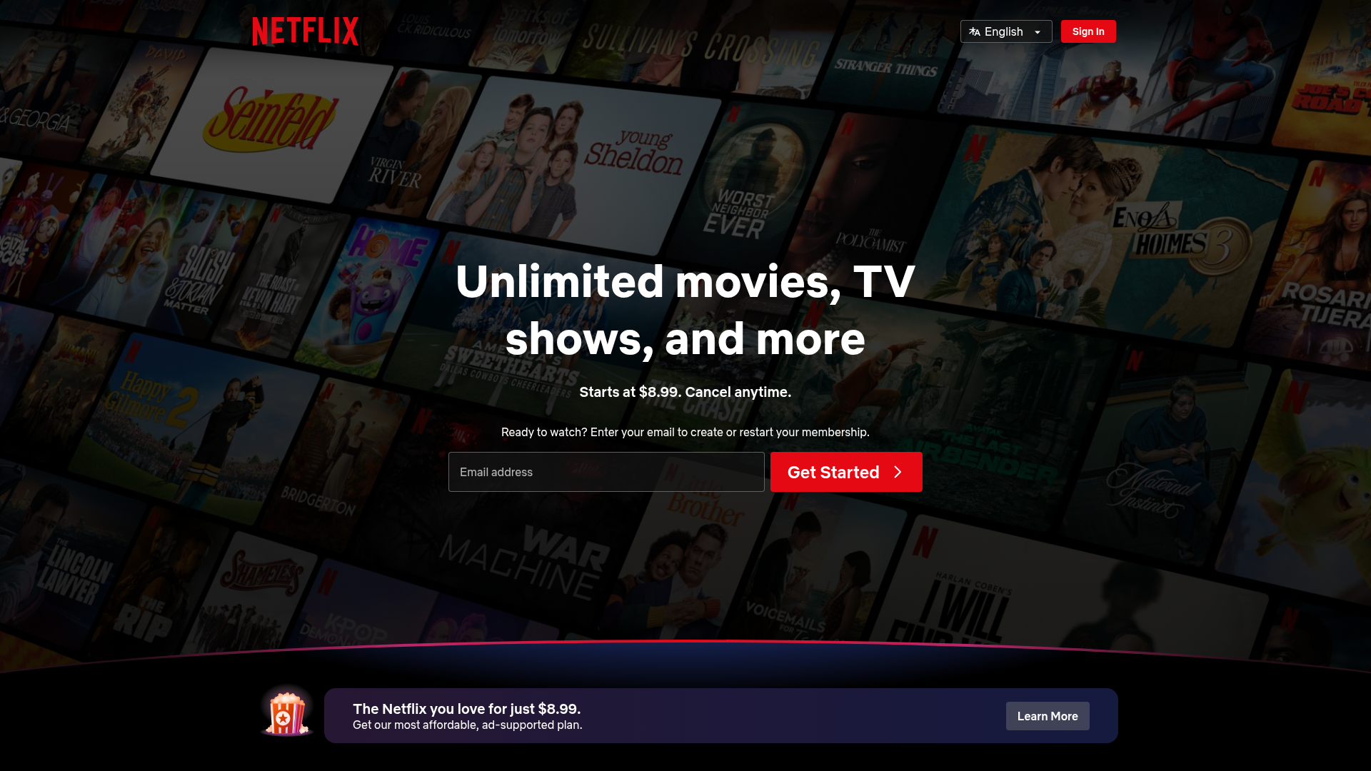 2. Netflix Homepage