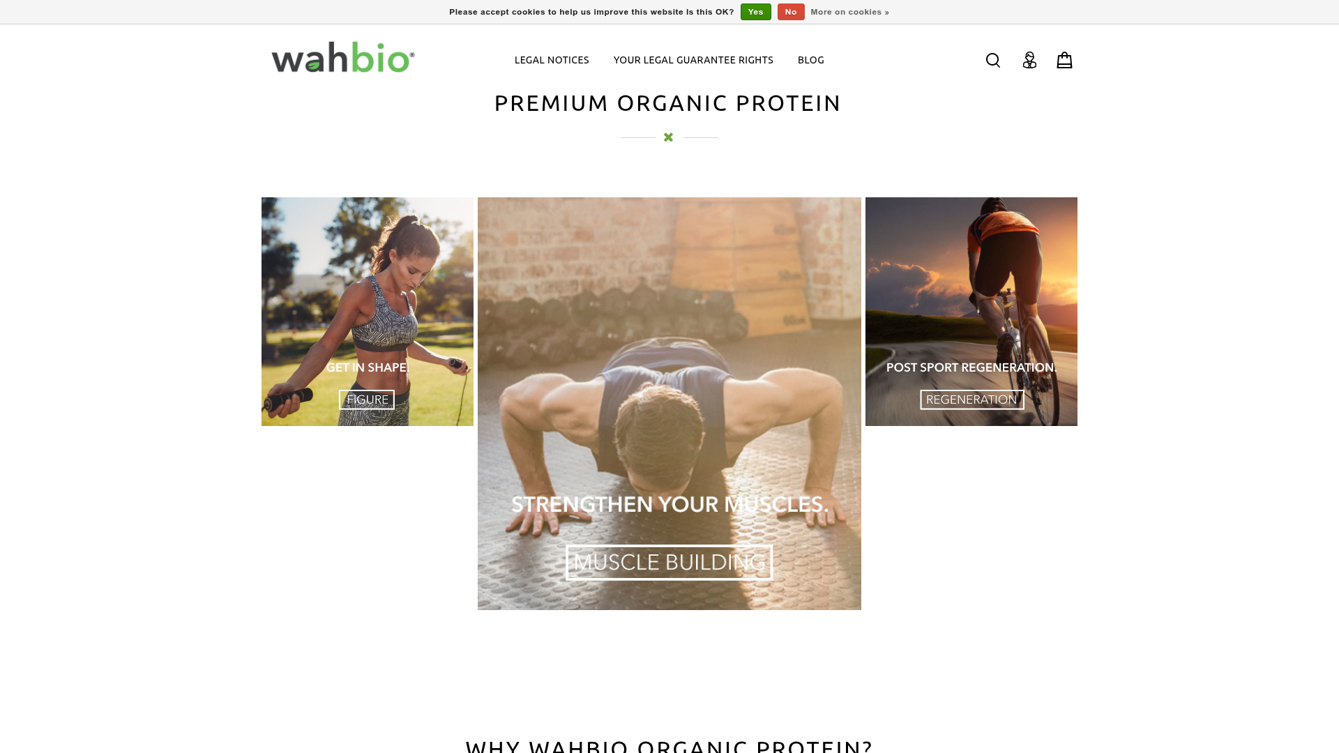 4. Wahbio Homepage