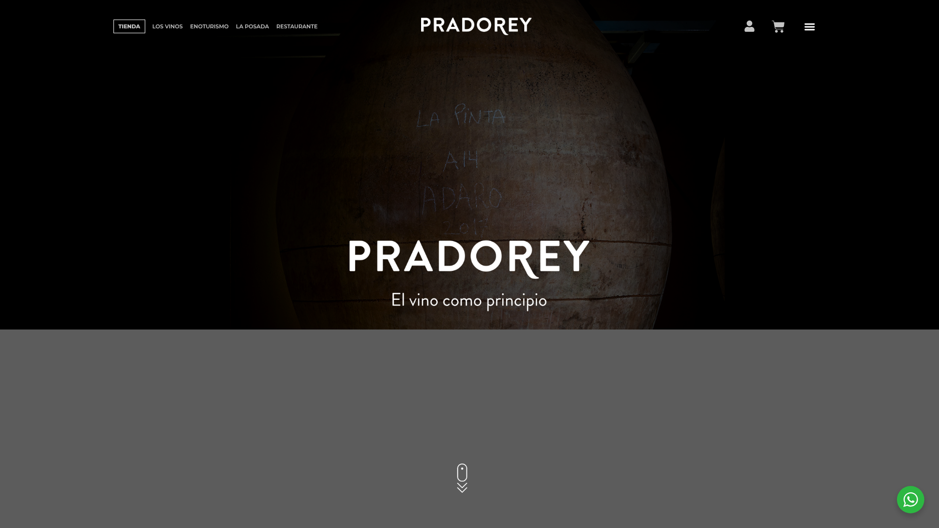 Pradorey: Ribera del Duero mit Kraft, Höhe und viel Lernwert Homepage