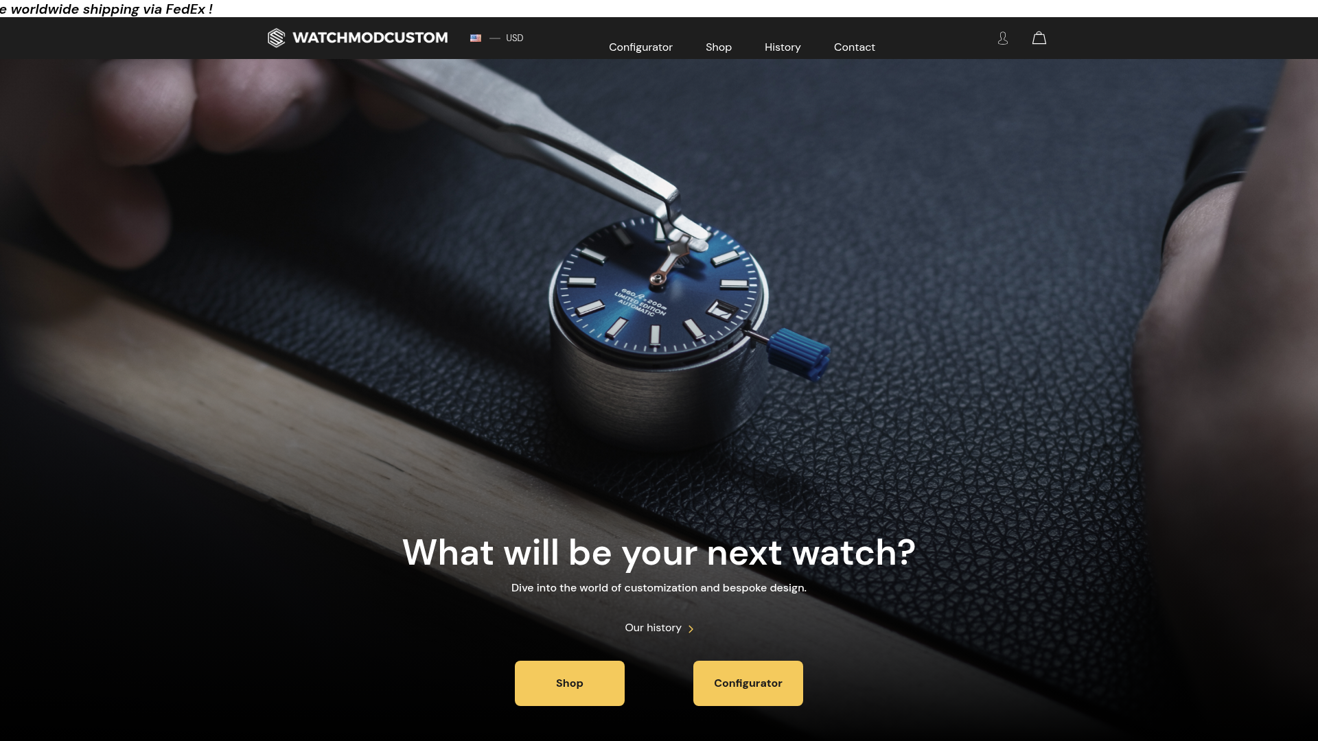 4. WatchModCustom Homepage