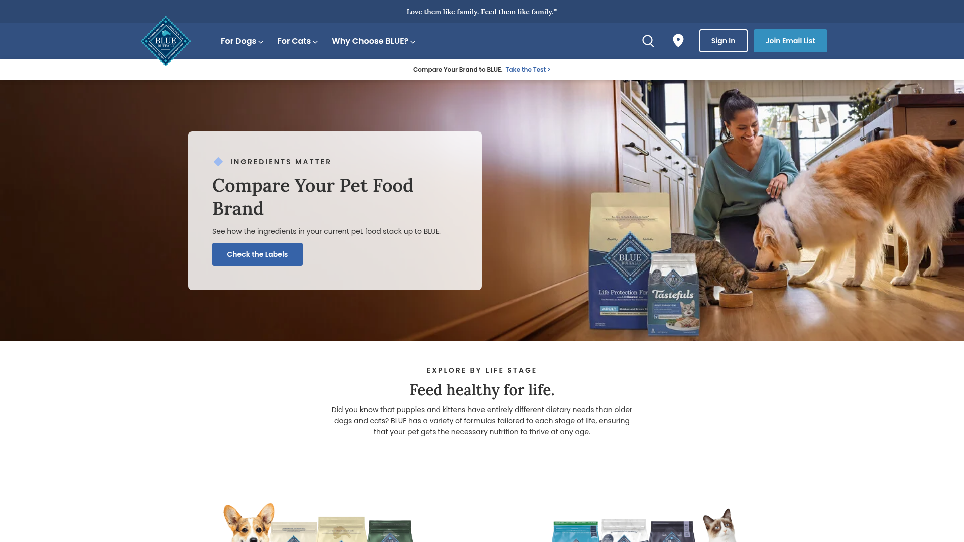 Unique Value Proposition Homepage