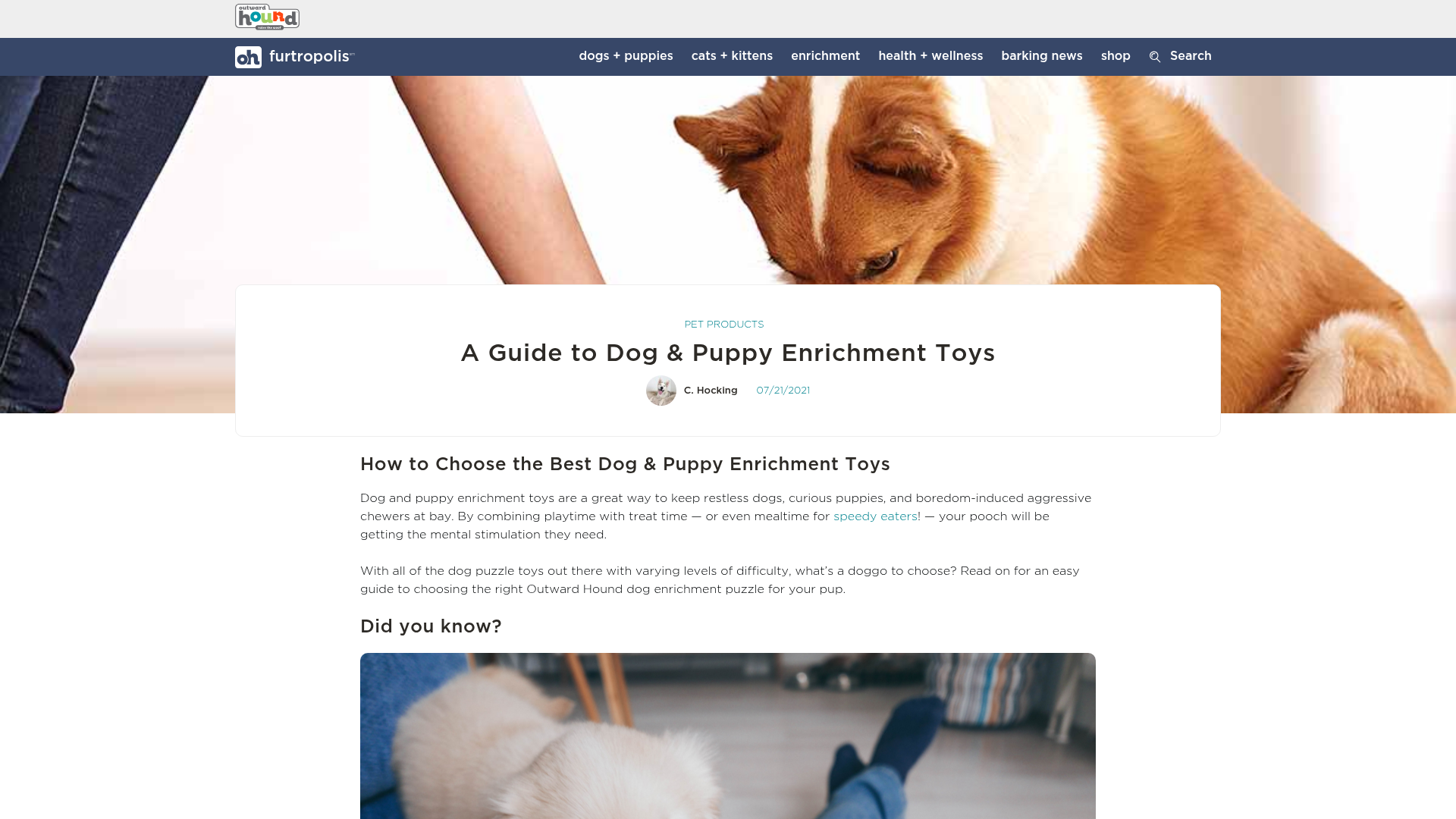 4. Nina Ottosson by Outward Hound Homepage