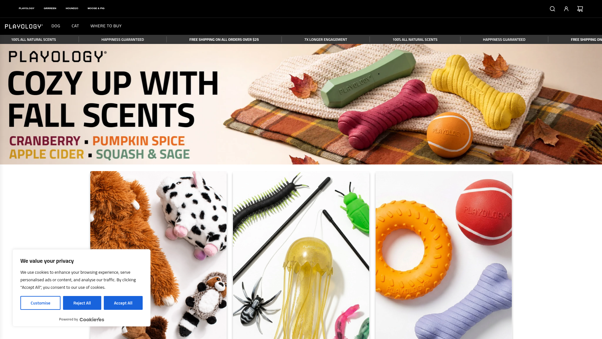 4. Playology Homepage