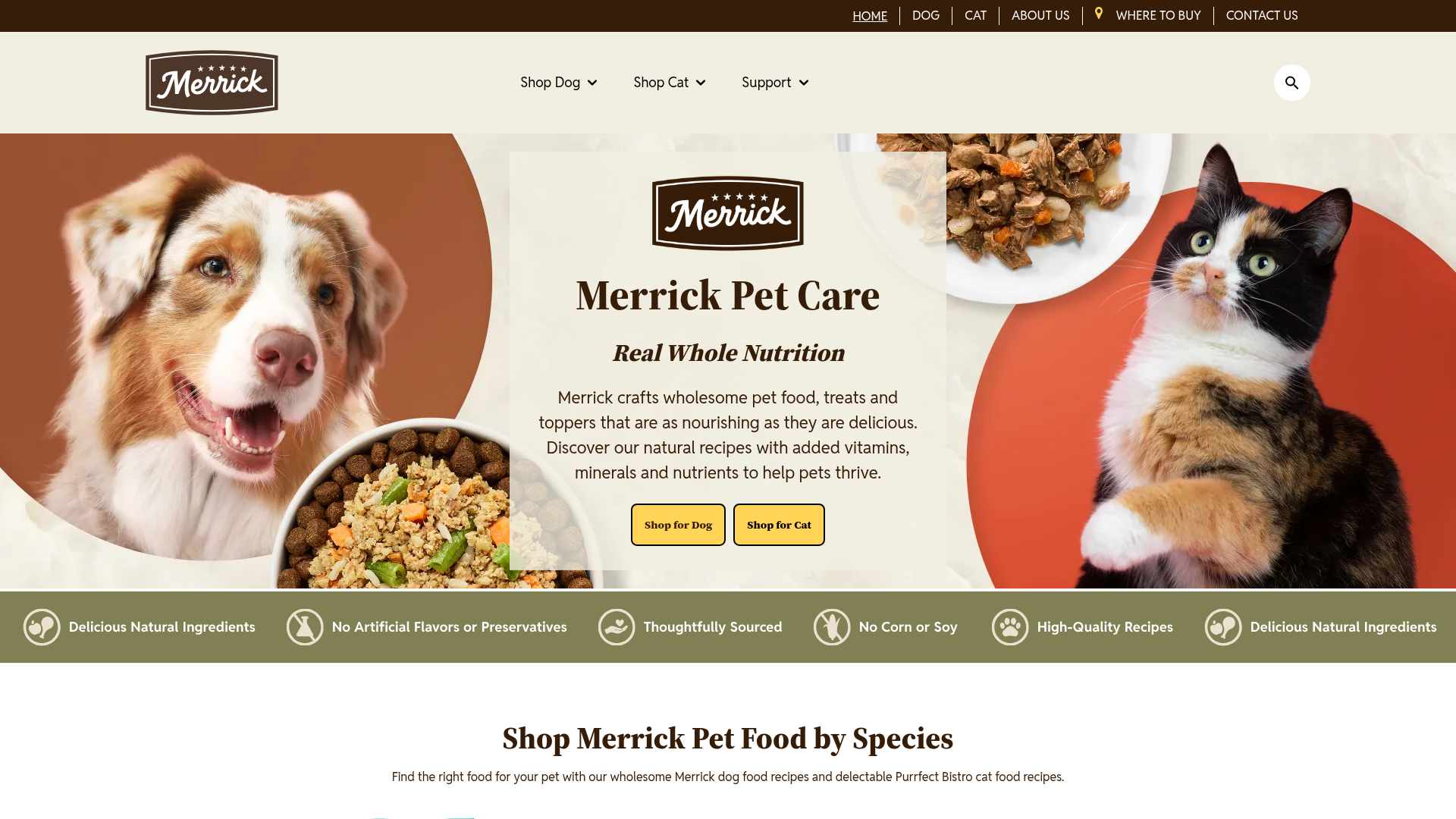 2. Merrick Homepage