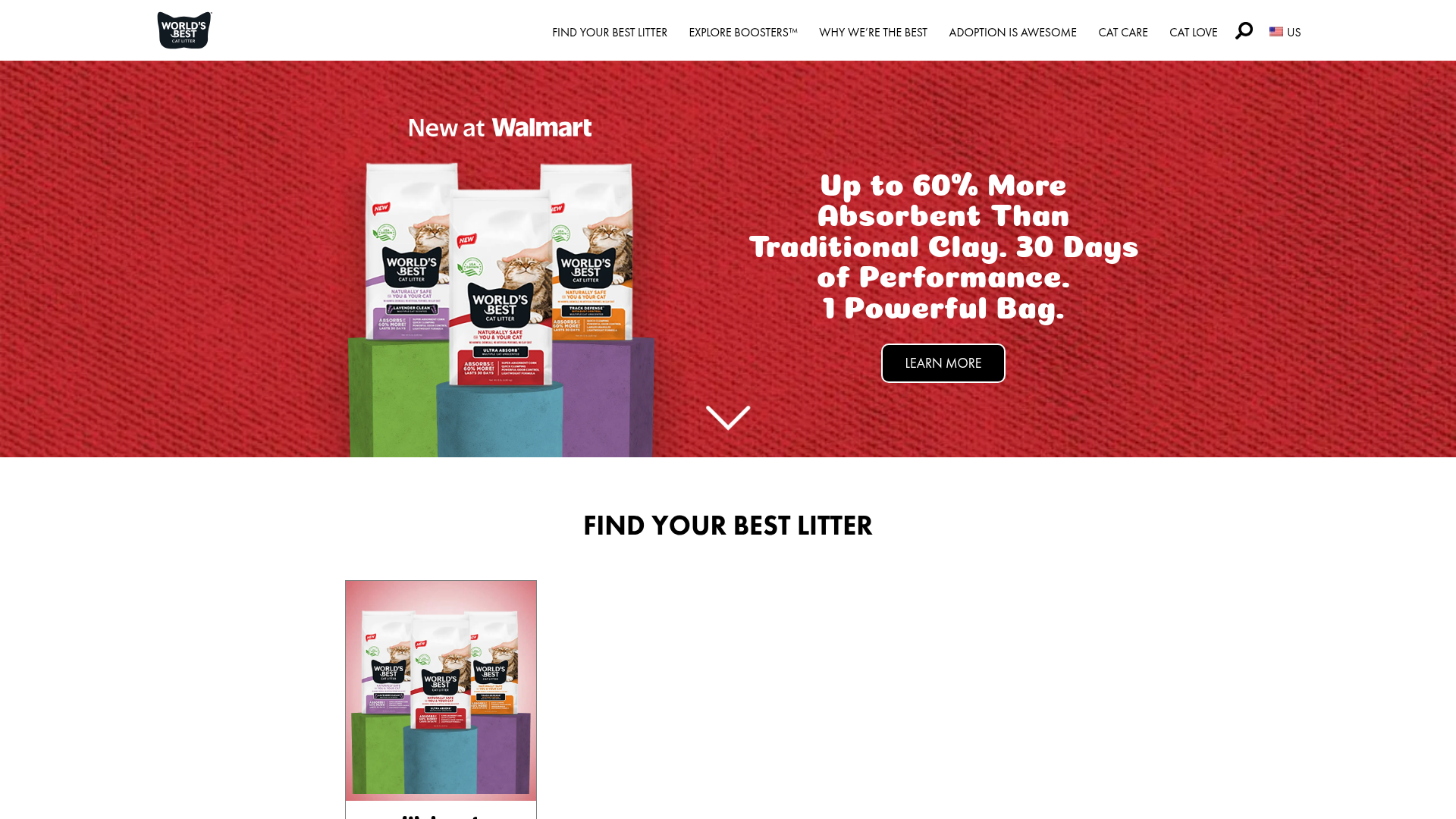 2. World’s Best Cat Litter Homepage