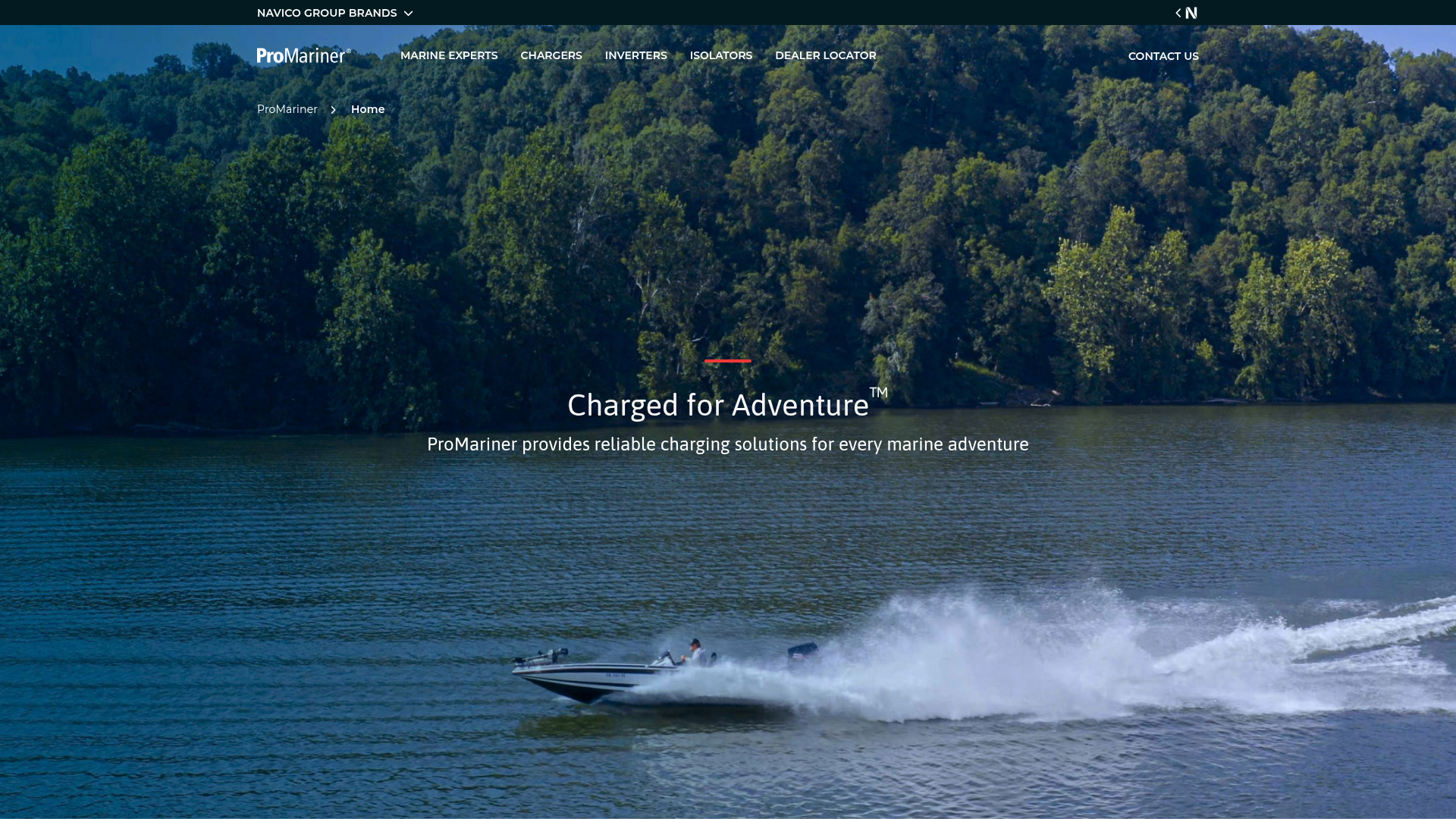 3. ProMariner Homepage