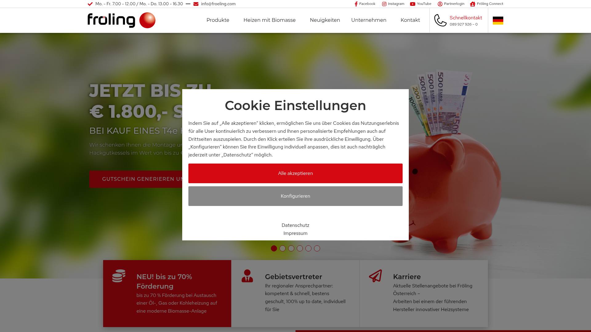 2. Fröling Homepage